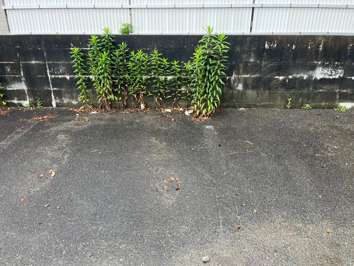 After
